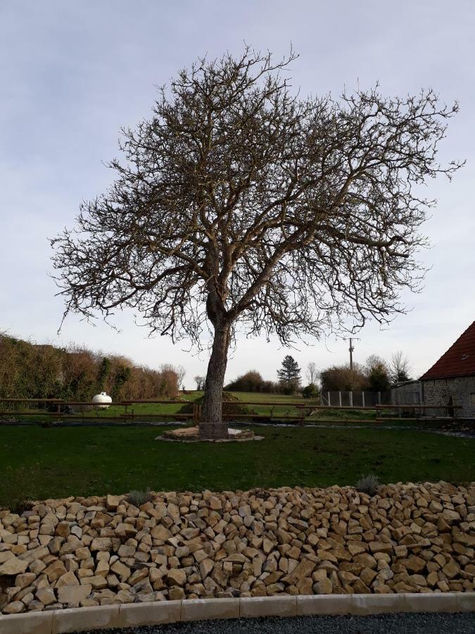 Gite " Le Vieux Noyer" Liesville-sur-Douve エクステリア 写真
